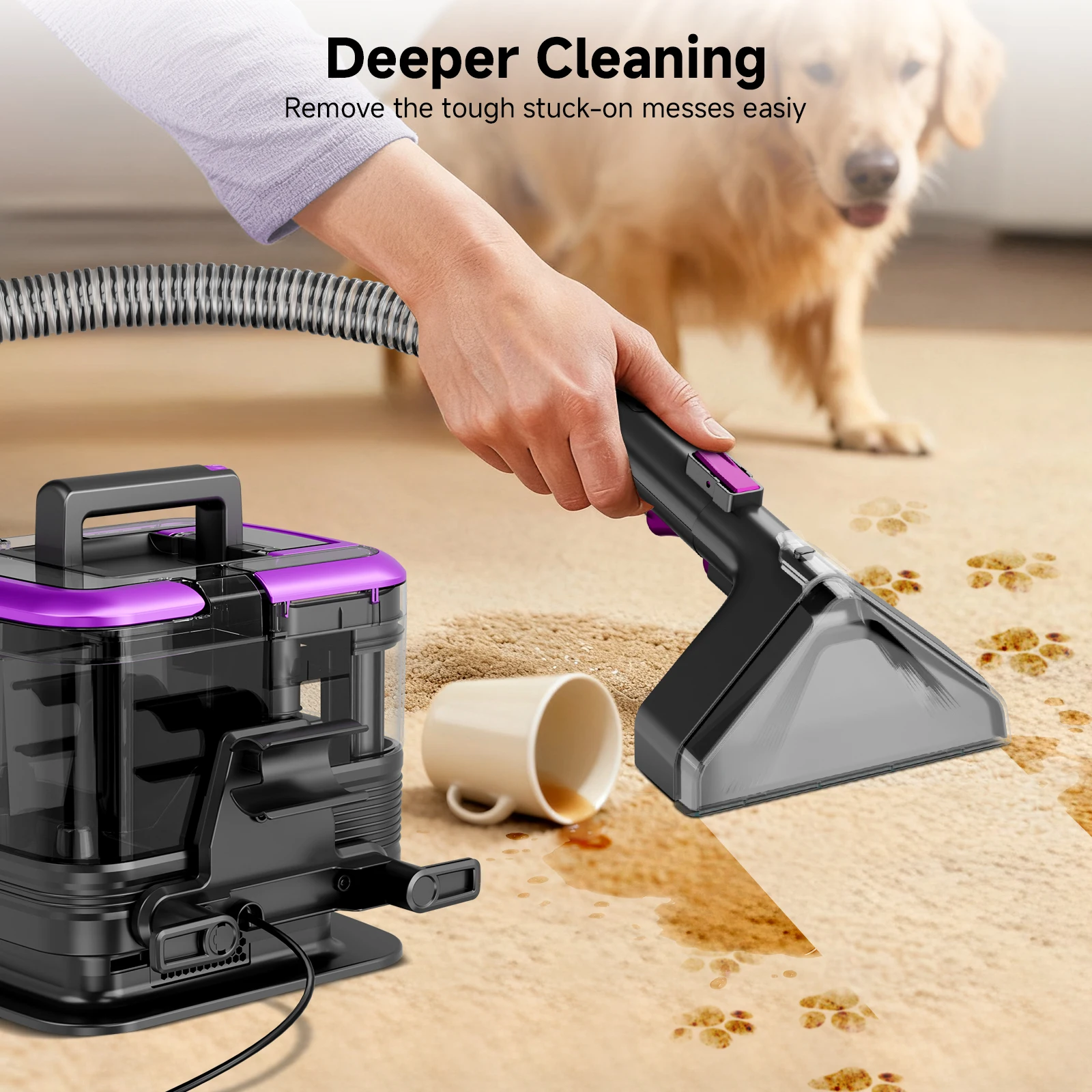 Thumbnail 2 - #17 Best Carpet Shampooers to Buy In 2026