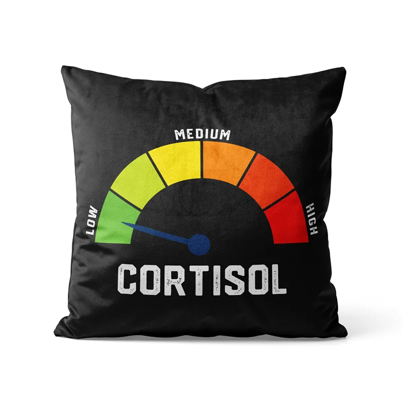 Gaslight Gatekeep Girlboss Low Cortisol Levels Pillow Cover Cushion Case Soft Fabric Home Decorative Pillowcase