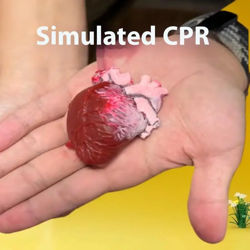 

Цельная реалистичная игрушка для снижения тревоги в виде человеческого сердца, TPR, орган для тела, Хэллоуин, розыгрыш, украшение «сделай сам»