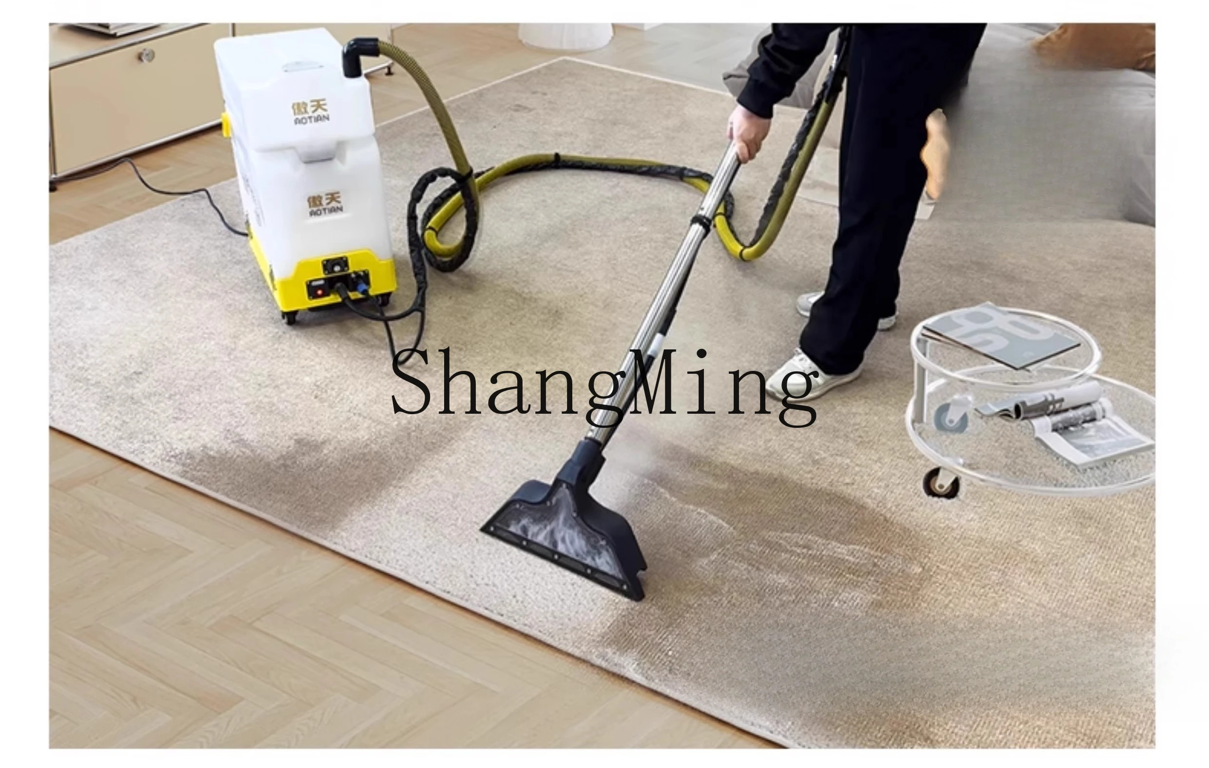 ZYY high temperature steam sofa carpet mattress mite removal spray pumping integrated cleaning machine commercial large suction