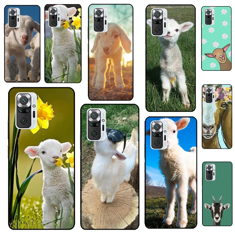 Cute Goat Animal Co… - image