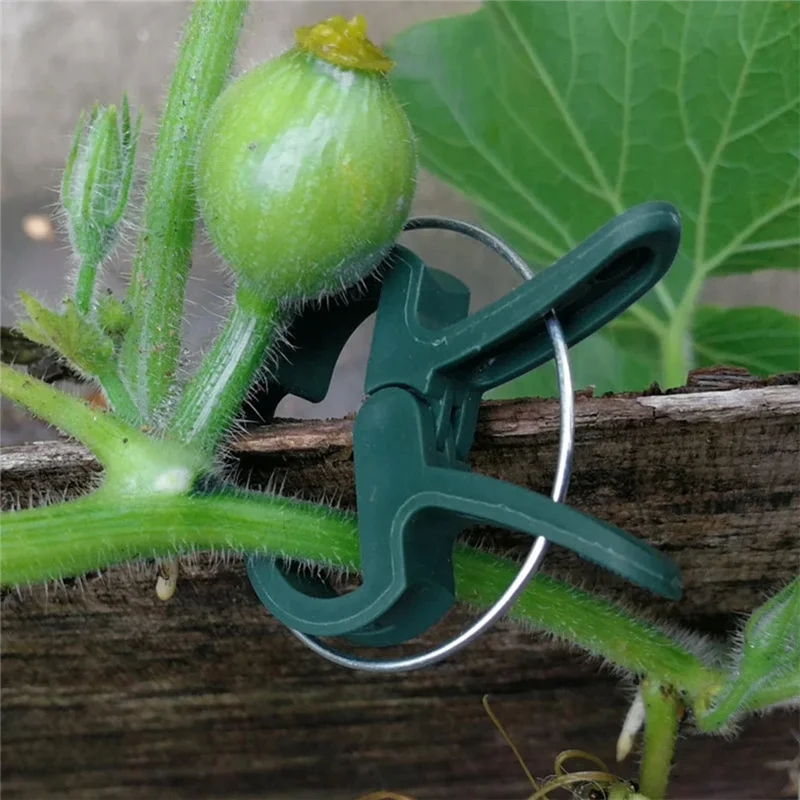 

200 PCS Plant Fixed Clips Green Plastic Stems Flower Vine Vegetables Tomato Fastener Garden Supplies