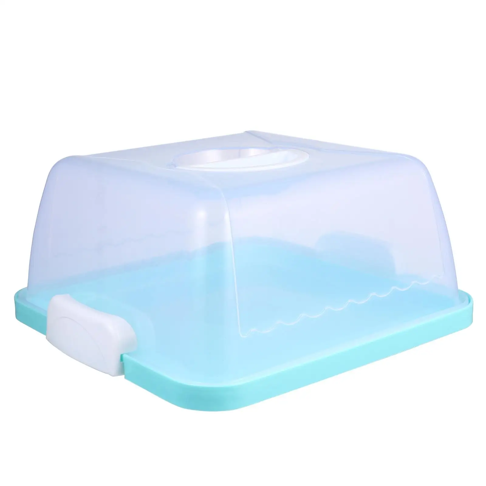 

Portable Hand-held Plastic Cake Box Holder with Lid Translucent Travel Container