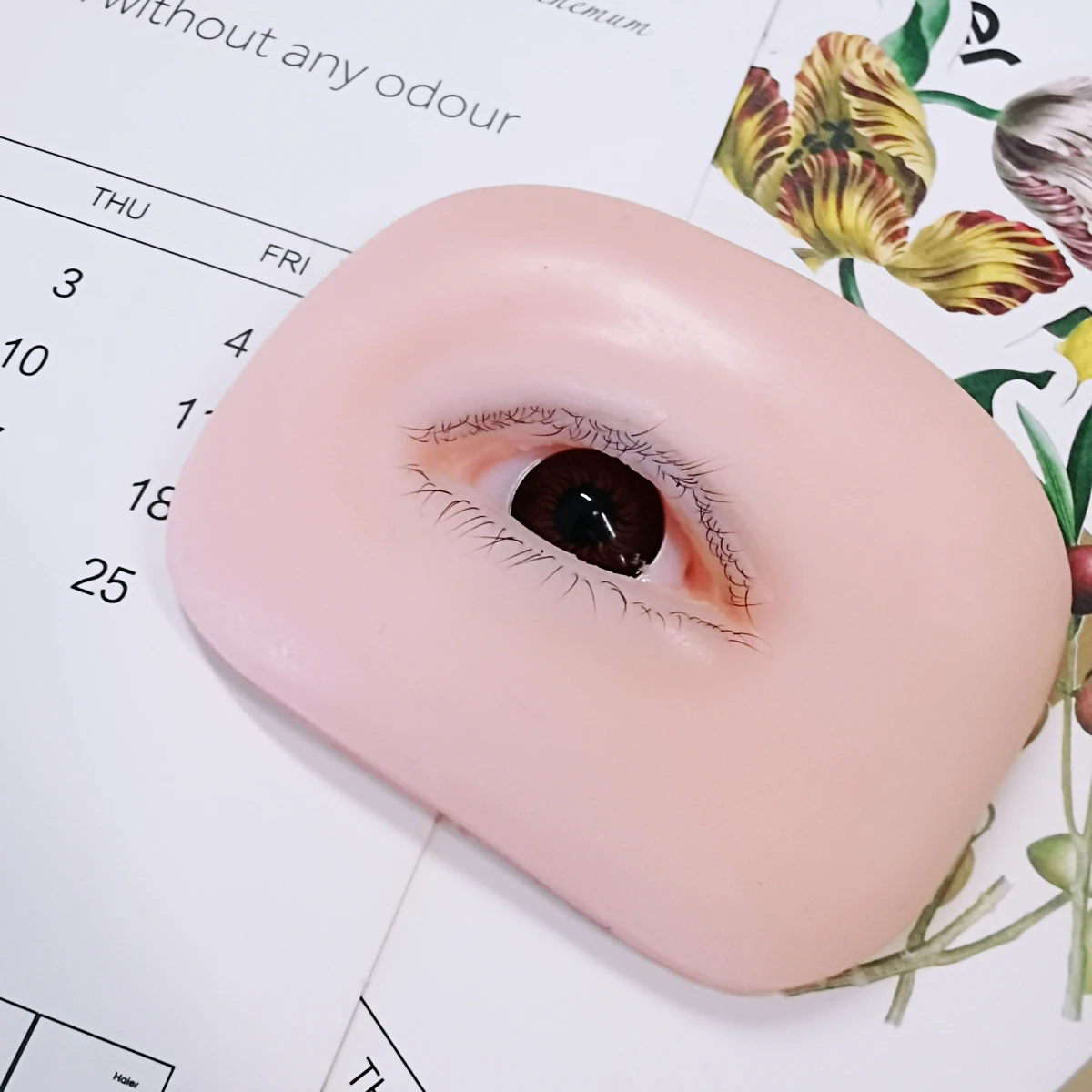 Cabeza de muñeca plana para práctica de pestañas, maniquí de pestañas postizas, Cara de muñeca, productos de maquillaje coreanos, herramienta para mujeres