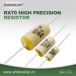 Rx70 High-Precision Sampling Wirewound Fixed Resistor 0.25W 0.5W 1W 2W 3W Plug-In Low Temperature Drift Standard Resistor 1R to 500R 1K to 100K 100K to 1m 0.01% 0.02%
