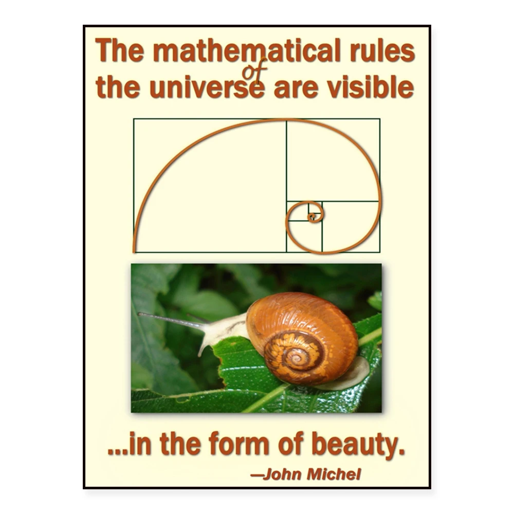 Mathematical rules and beauty, fractals, spheres, symmetry and torus, nature classroom math posters, science gifts