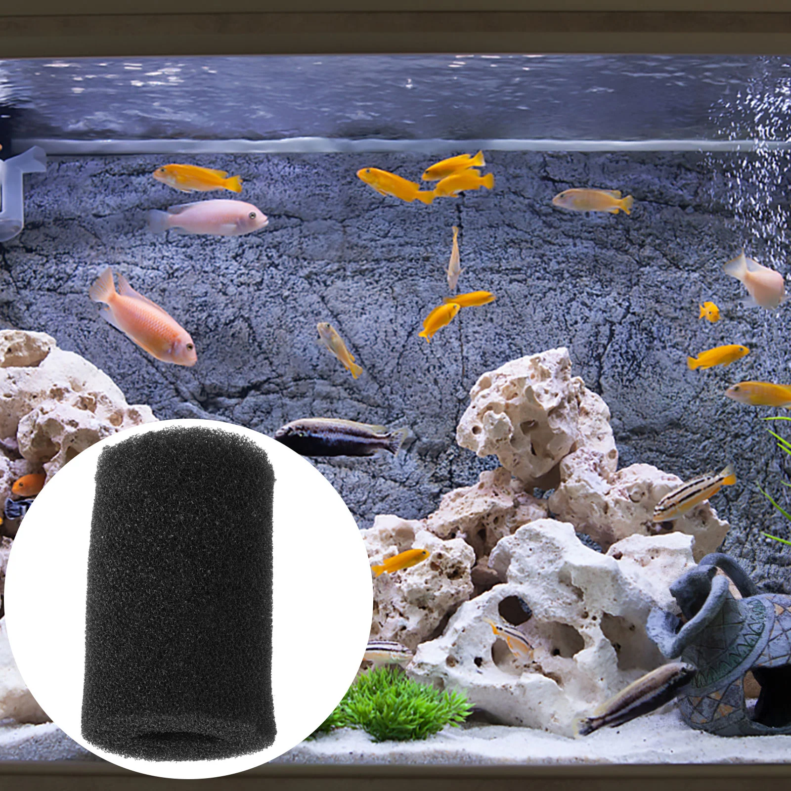 2 PCS Strainer Pre-filter Sponge Fish Tank Protective Case Crystal Shrimp Aquarium