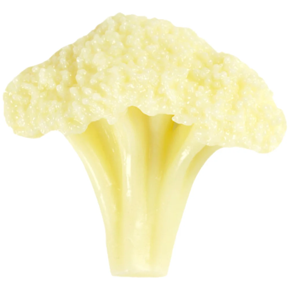 

Fake Broccoli Slice Model Simulation Cauliflower Broccolini Simulated Realistic Pvc for Decoration