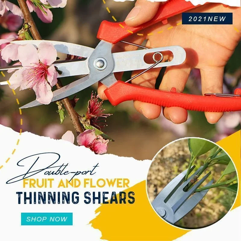 

Fruit Picking Double-edged Scissors Garden Pruner Shears Citrus Tree Flower Cultivating Solid Snip