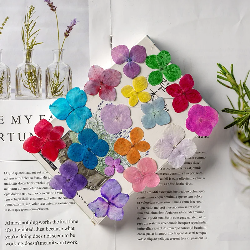 

60Pcs Hydrangea Dyed Pressed Flowers Dried Flower Plant Specimens Leaves Handmade Stickers Resin DIY Bookmark Materials