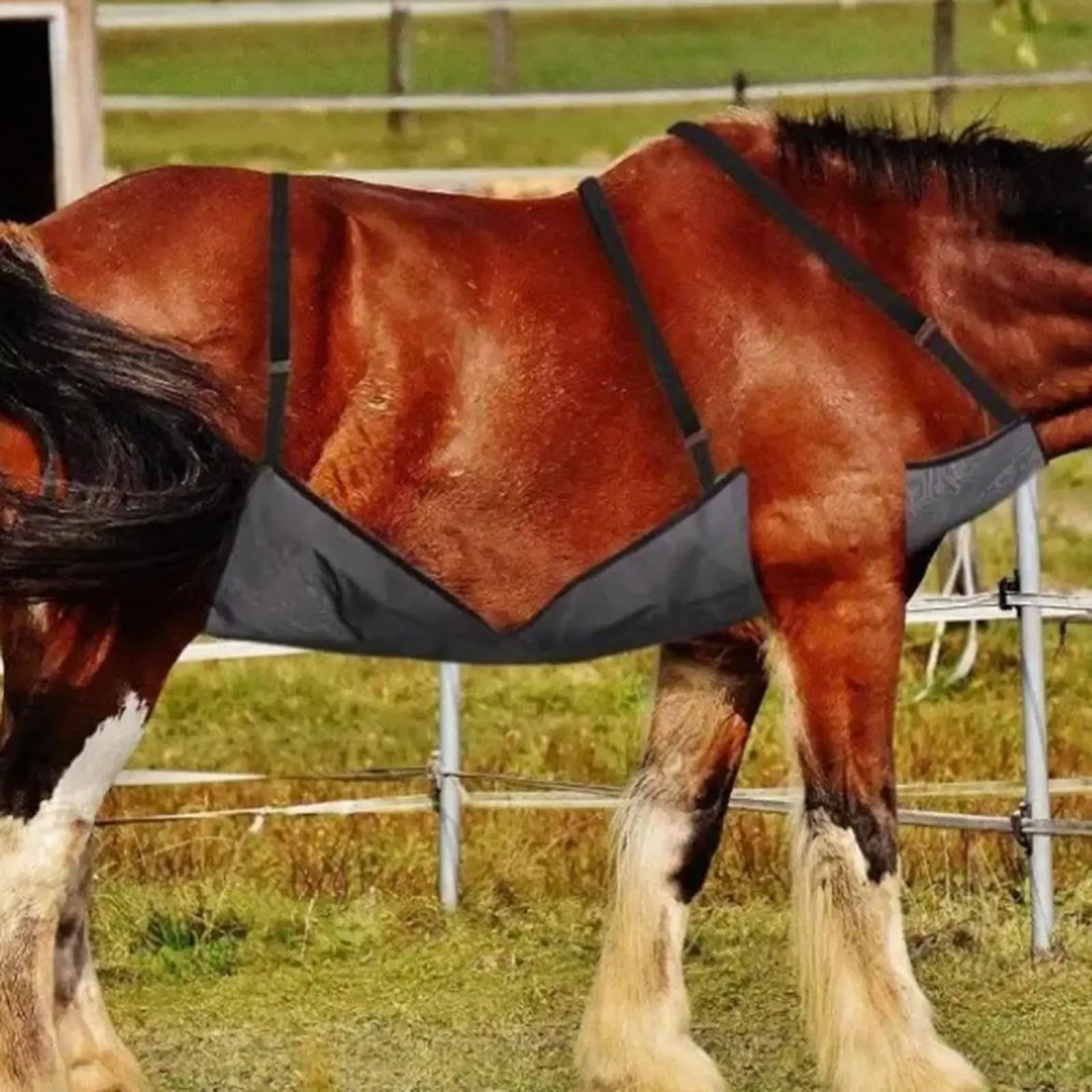 واقي للبطن من ورق ذبابة الحصان، خفيف الوزن لمستلزمات الحيوانات الأليفة، حزام شبكي قابل للتعديل لركوب الخيل، إعداد ثابت في الهواء الطلق
