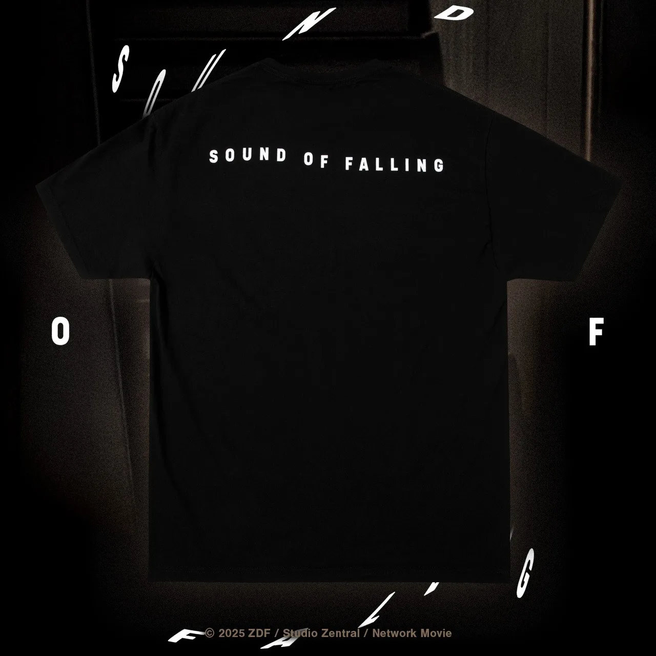 SOUND OF FALLING Graphic T-Shirt German Movie Tee Men Women Cotton Oversized Y2k Streewear Short Sleeve Female Male Clothing