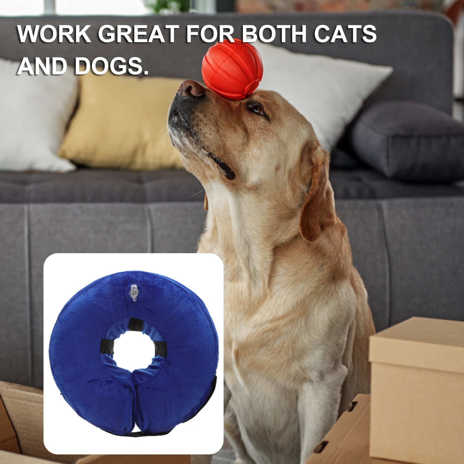 

Pet Inflatable Collar Soft PVC Cloth Circular Neck Circle for Dogs Cats Prevent Scratching Biting Injuries Stitches Rashes