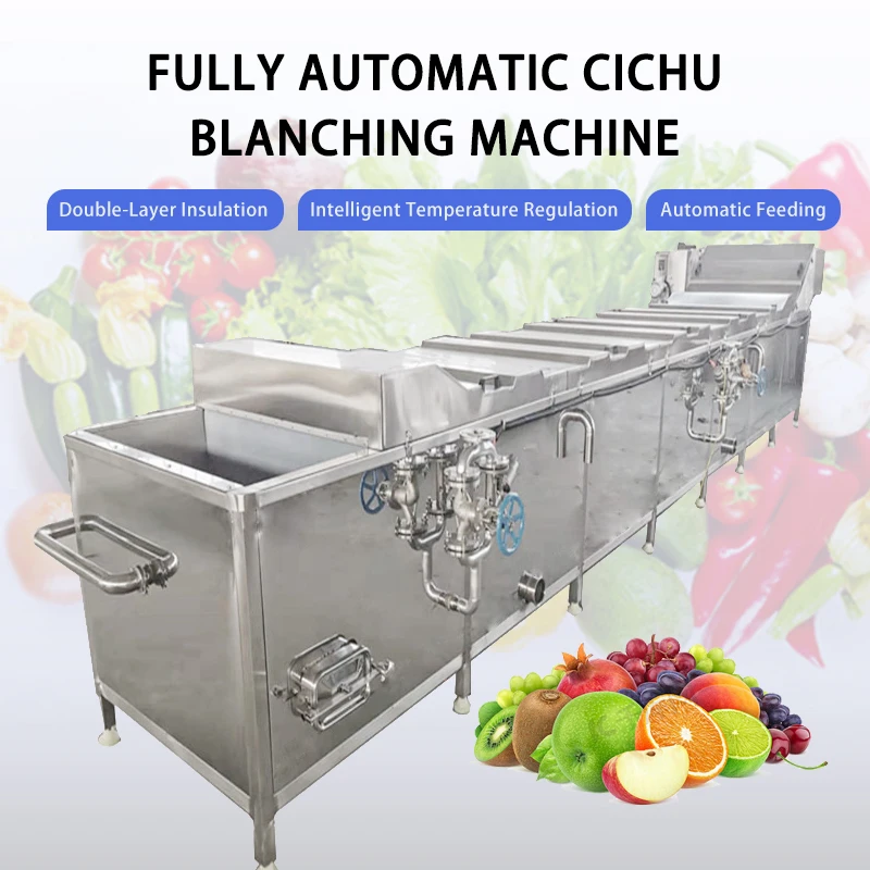 Large Automatic Bubble Washing Machine Custom Commercial Fruit Vegetable Peanut Cleaning Blanching Production Line