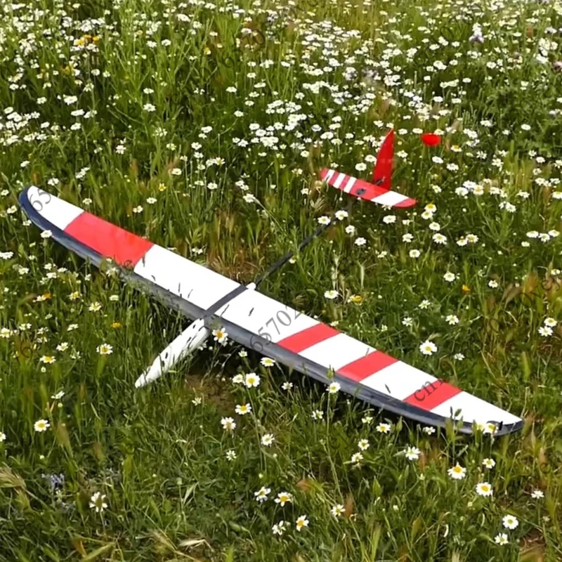 

Glider F3k Hand Throwing Model Aircraft Fixed Wing Remote Controlled Electric Practice Aircraft Dlg Light Wood Model Aircraft