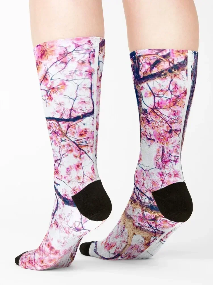 Sakura Japanese Cherry Blossom Tree Socks funny gift summer Crossfit snow Men Socks Women's