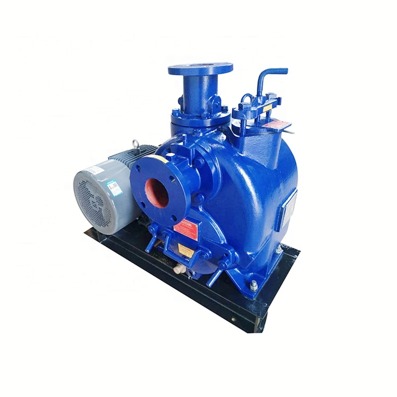 P type horizontal self-priming sewage water pump 1-10 inline electric slurry pump dirty with  engine driven back up