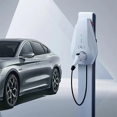 Pila di ricarica per veicoli New Energy da 7 kW CA per stazioni di ricarica Tesla e BYD ev