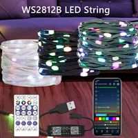 WS2812B RGB LED StringTransparent Green Black Wire Addressable  Wedding Garland Decoration Christmas Lights USB Controller DC5V