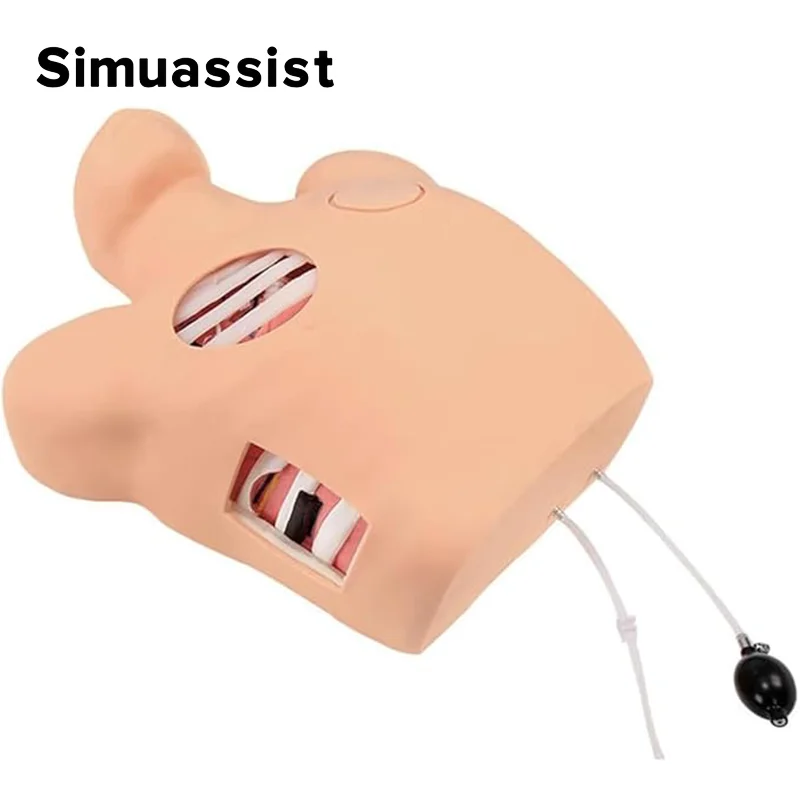 Thoracentesis And Drainage Model,Pneumothorax Puncture Hydrothorax Intubation Care, Chest Wound Nursing Teaching Simulator view 4