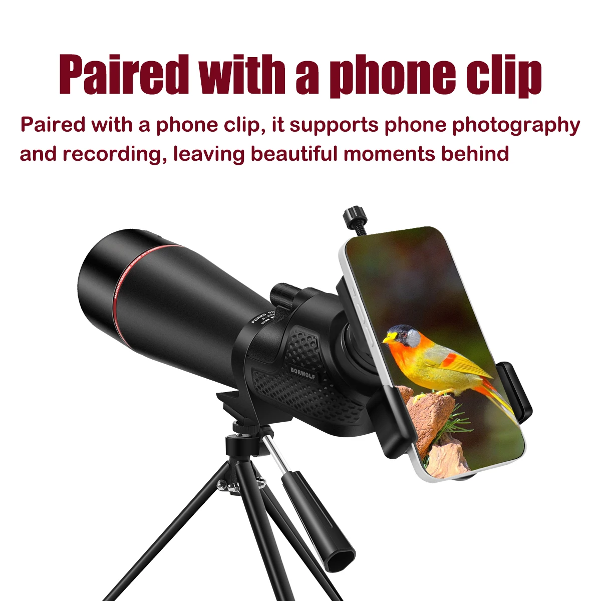 Thumbnail 3 - #65 Telescopes List of Top Picks