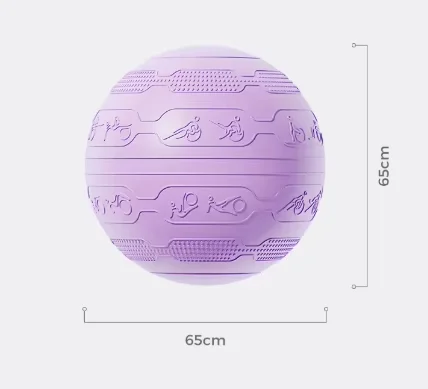 

2026 65cm Anti-Burst PVC Yoga Therapy Ball Full Body Massage Fitness Exercise Ball