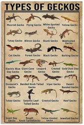 LindaFeeney Gecko Knowledge Art Wall Decor Retro Metal Tin Signs Types Of Geckos Printed Posters School Bar Cafe Living Room Gar