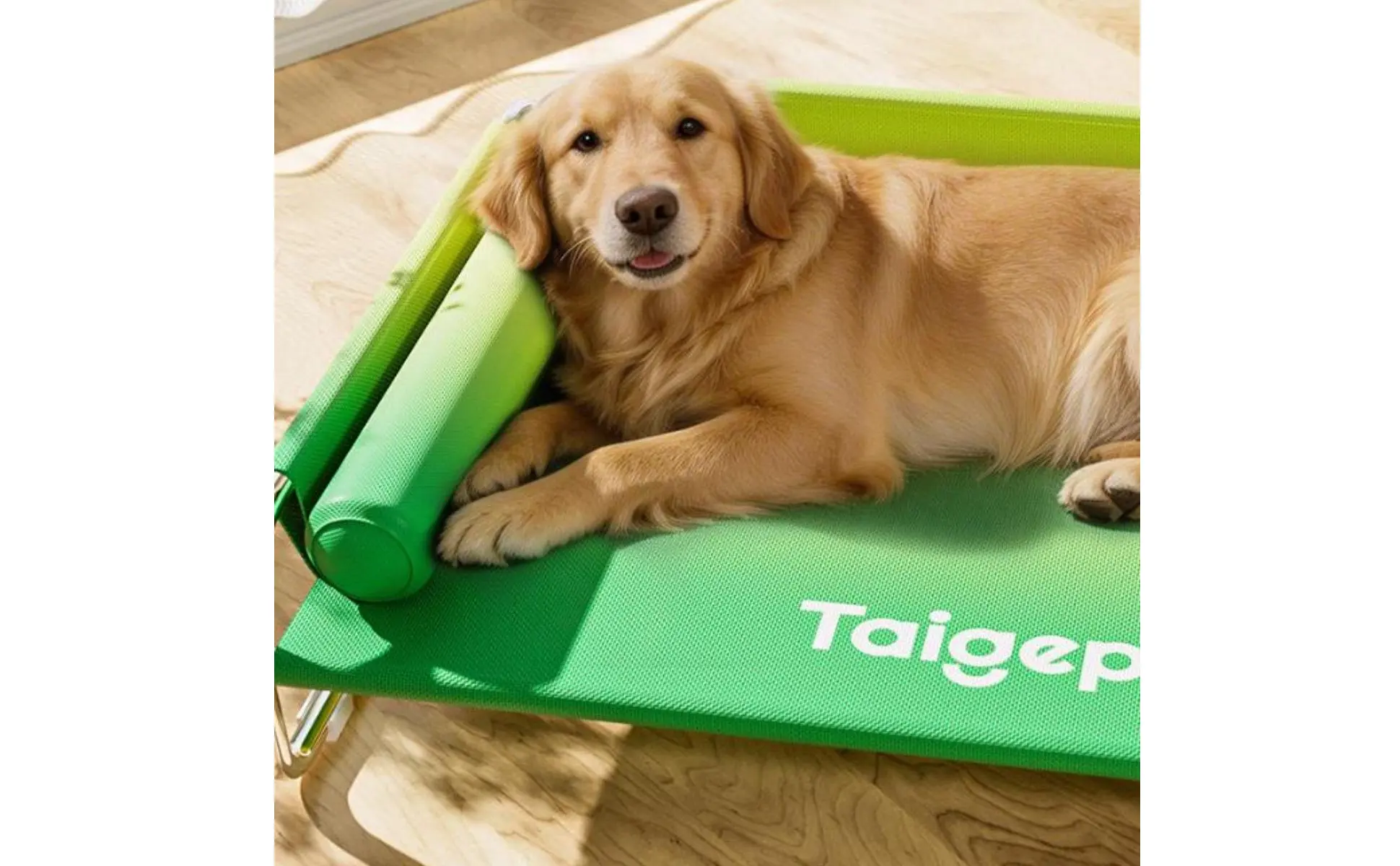 Stainless Steel Dog Bed Washable Elevated Dog Bed Pet Furniture Long-Lasting Cooling for Large Dogs