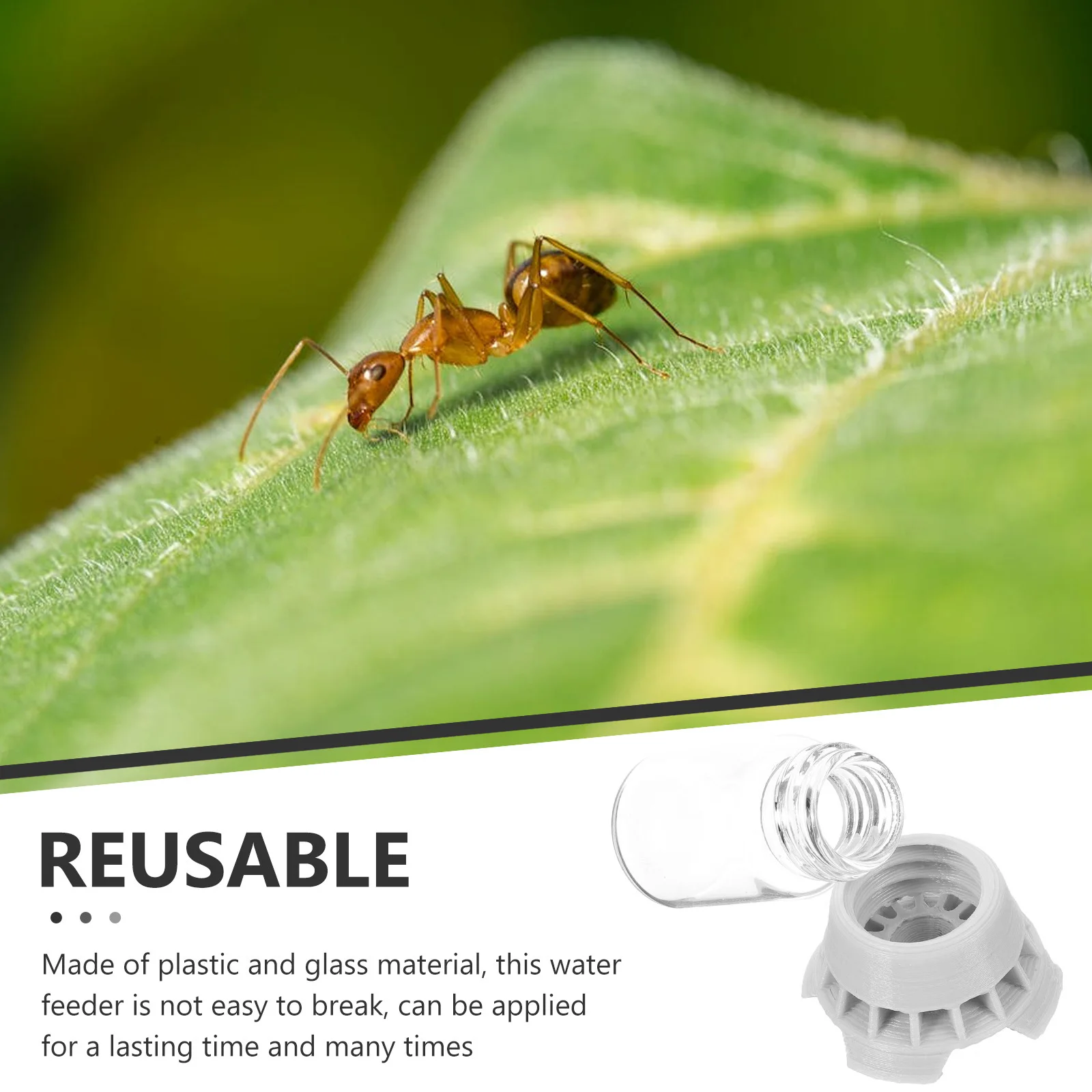 

Reusable Ant Water Feeder with Glass Bowl Small Size Ants Water Dispenser for Reptiles Geckos Lizards Spiders Centipedes