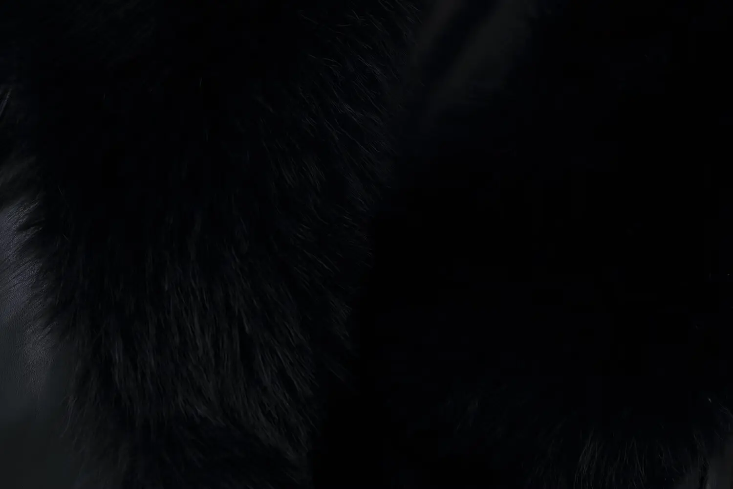 European and American style 2025 winter new French high-end fashion big fur collar temperament waist jacket leather jacket