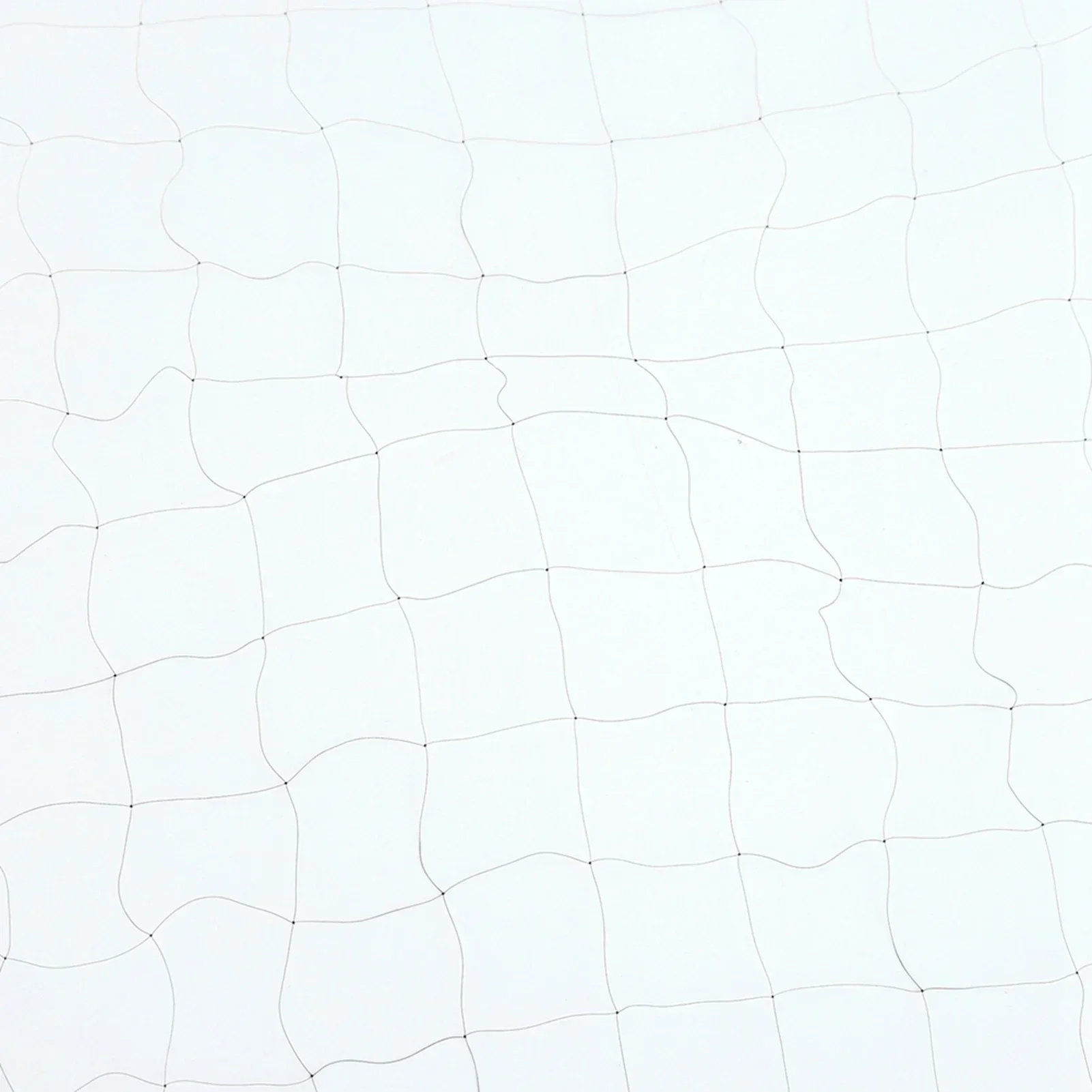 1Pc High Quality Deep Pockets Nylon Monofilament 3mx 8/10/15/20m 15mm Hole Orchard Garden Anti Bird Knotted Mist Net 1Pc