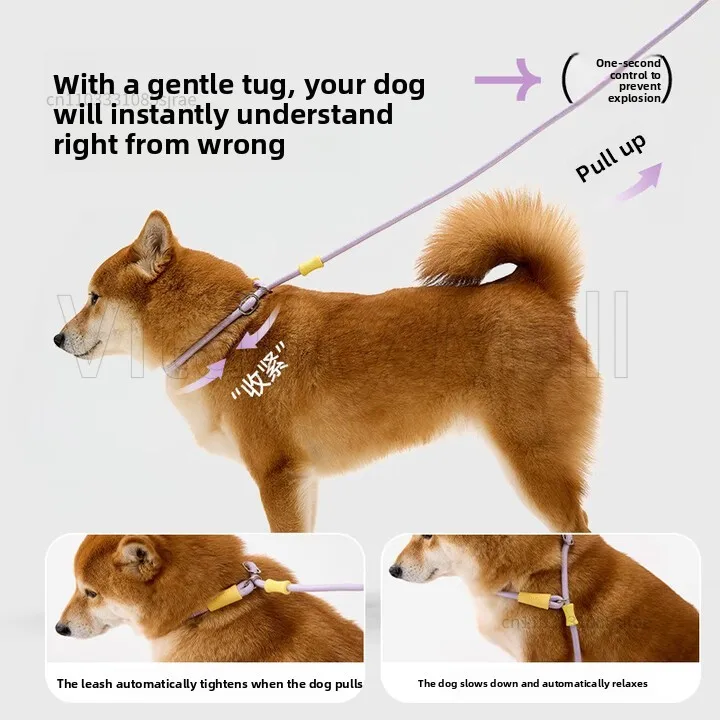 حبل جر للكلاب مقاوم للانفجار حبل P صغير مضاد للكسر تعديل كبير للكلاب سلسلة خاصة للحيوانات الأليفة للخروج للمشي على الكلب