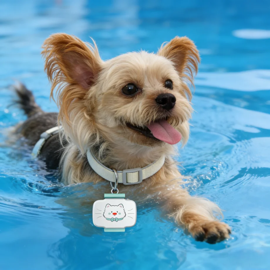 Collar inteligente para monito - Pet Activity Health Monitor Tracker reseña y precio