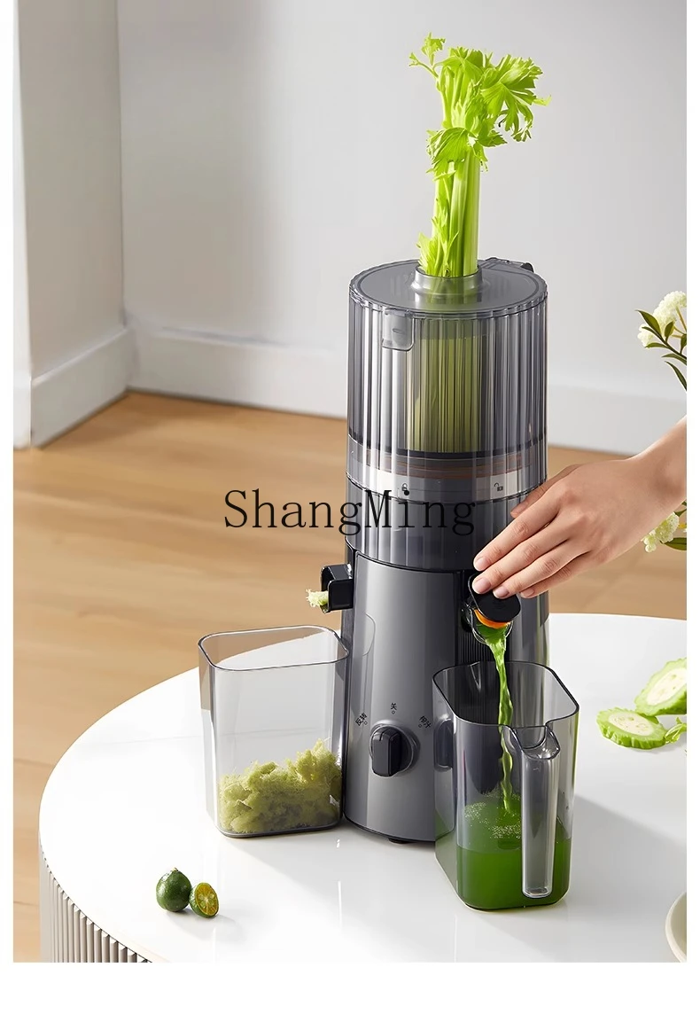 ZYY grote diameter slakken sap scheiding huishoudelijke kleine vruchtensap kookmachine mengmachine