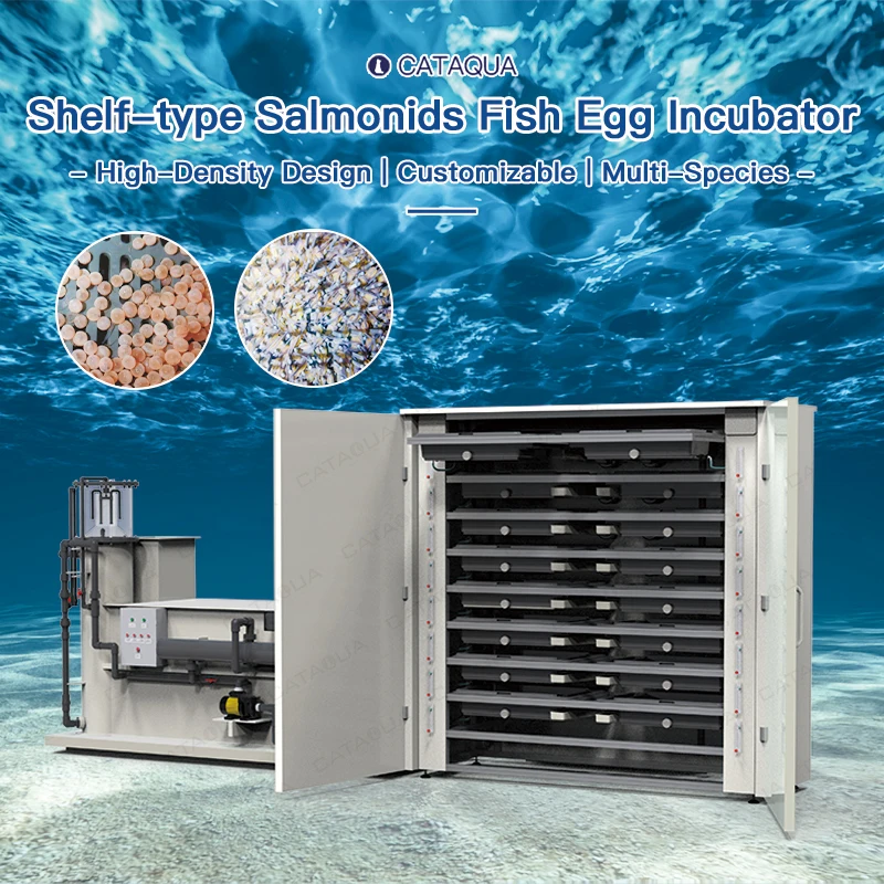 Energy-Saving Automatic China Fish Incubator RAS Fish Ponds for Fish Farming with Bio-Security Filter for Intensive Aquaculture