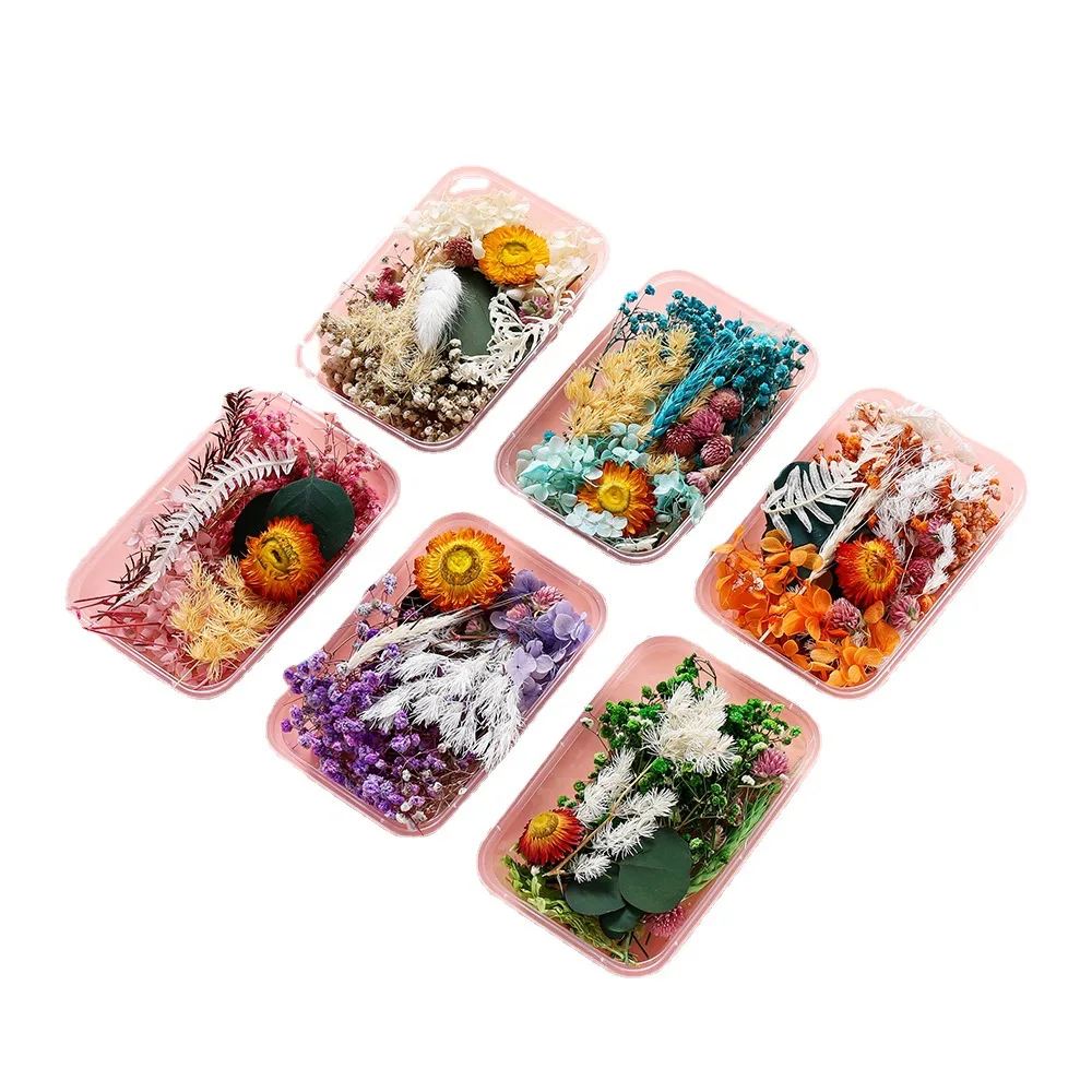 1set Hot Selling Eternal Flower Dried Flower Material Pack DIY Mini Embossed Box Frame Fan Aromatherapy Dropping Material Pack