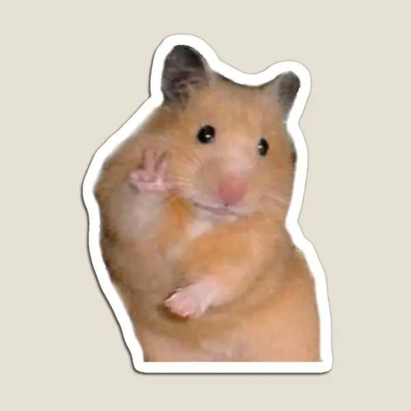Peace Hamster Meme  Magnet Funny Toy Colorful Decor  Kids Holder Magnetic Children Baby Cute Home Refrigerator Stickers