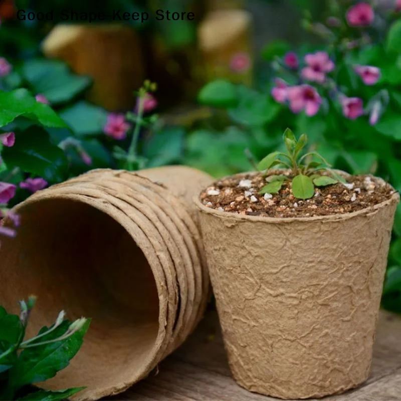 dailySeed Starter Cups  Biodegradable Pulp Plant Pots Eco-Friendly Breathable for Indoor Outdoor Flower Growth Vegetables
