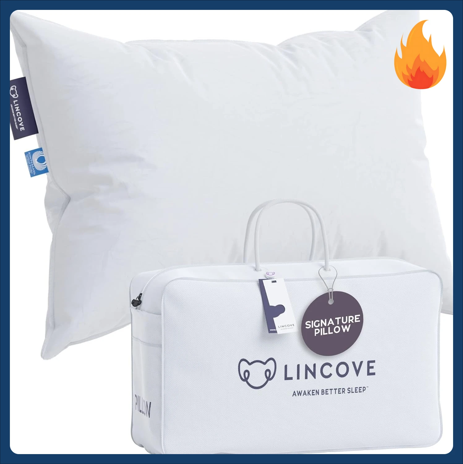 

Signature 100% Natural Canadian White Down Pillow - Luxury Sleeping Pillow for Back, Stomach & Side Sleepers - 800 Fill Power, 5