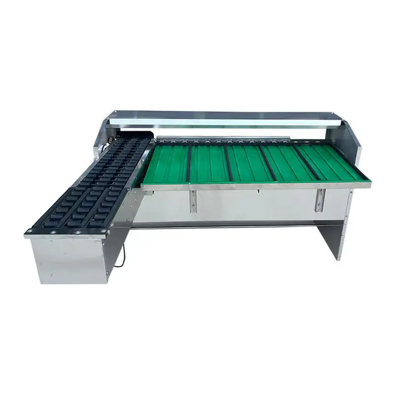 FOODLINE Semi‑Automatic Egg Sorting Machine Cost‑effective Device For Medium Size Poultry Farm Use