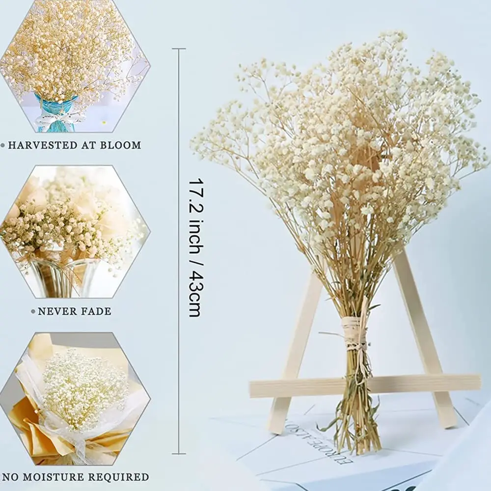 Dried Flowers Baby\'s Breath Bouquet White Dry Flowers,Natural Gypsophila Branches for Home Wedding,Table Decor,DIY Wreath Floral