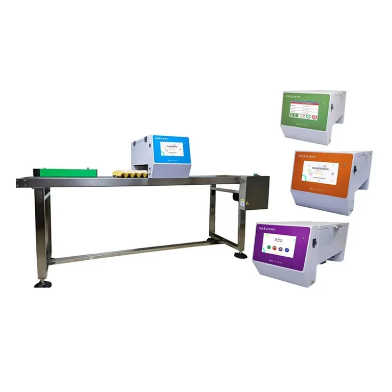 Custom Farm Specific Egg Marking System 6 Printheads Customizable Colors 7 Inch Touchscreen High Speed Inkjet Printer