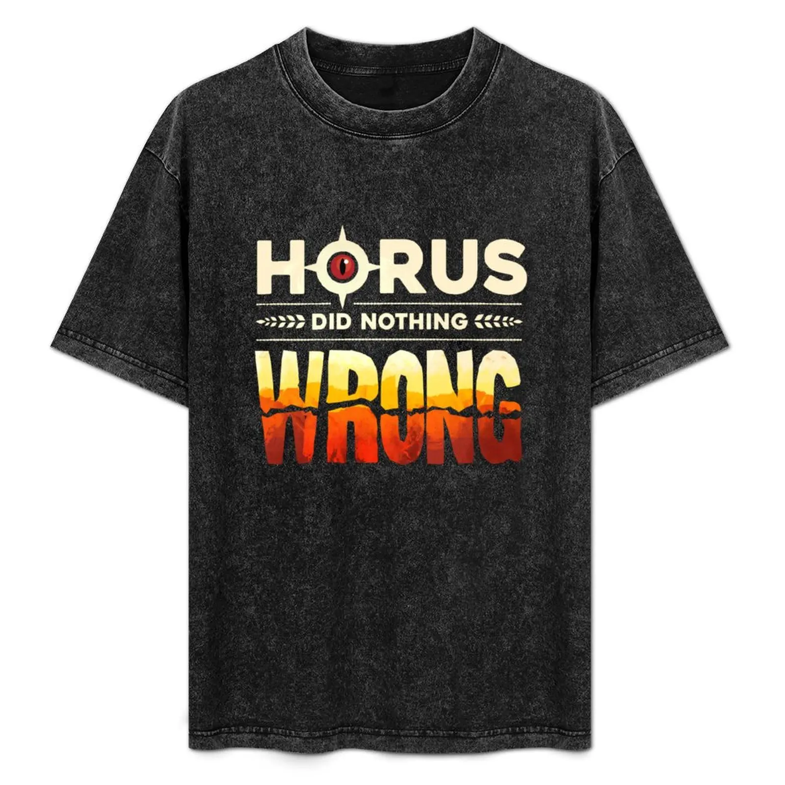 

Horus Did Nothing Wrong T-Shirt Comfortable Workout Short Sleeve Shirt