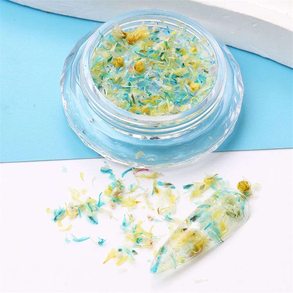 เครื่องประดับกลีบดอกไม้เครื่องมือทำเล็บหลากสีสำหรับตกแต่งเล็บเจลทาเล็บ