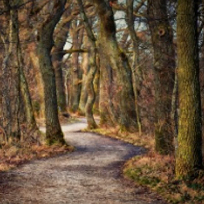 T-Hobby F60A 8S 4IN…