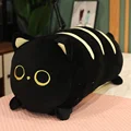 black cat