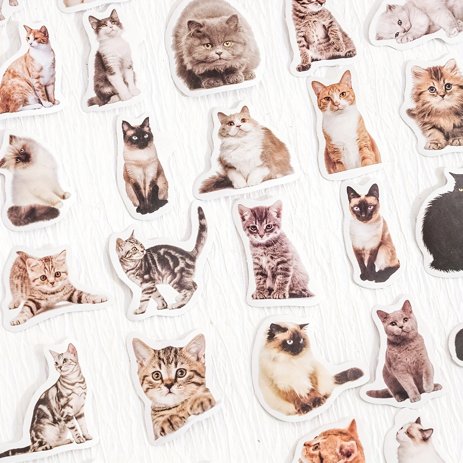 45pcs/pack Cute Cat Selfie Decorative Box Stickers Scrapbooking Material Label For Diary Stationery Album Phone Journal Planner