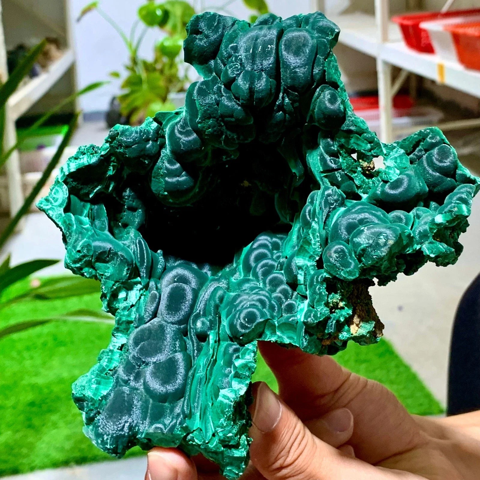 الملكيت المخملي الطبيعي، مجموعات كريستال من الحجر الخام الكريستالي، أحجار كريمة للطاقة مع خصائص الشفاء الروحي، العرافة #2