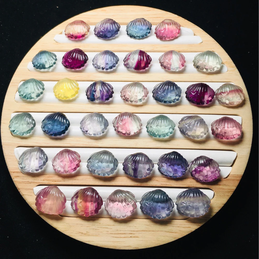 

Mineraali 10pcs Rainbow Fluorite Mini Shell Stones Set Shell Statue Whale Scaleph Conch Pendulum Healing Mascot Sculptures Decor