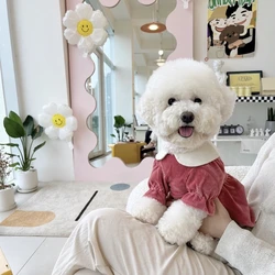 Pet Princess Skirt Teddy Solid Colour Clothes Bichon Winter Clothes Yorkshire Corduroy Pullover Maltese Warm Clothes